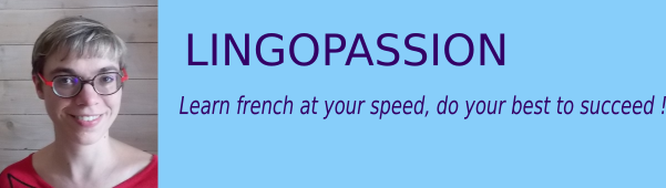 LINGOPASSION : cours d'anglais, traduction, cours de français